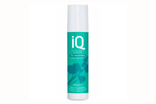 IQ Hair Care Tea Tree Shampoo